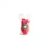 250g Lolly Bag - Poppy Rose - Poppy Rose Flowers Brisbane