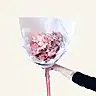 6 Stems of Mixed Roses - Poppy Rose - Poppy Rose Flowers Brisbane