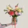 Colour Vase - Poppy Rose - Poppy Rose Flowers Brisbane