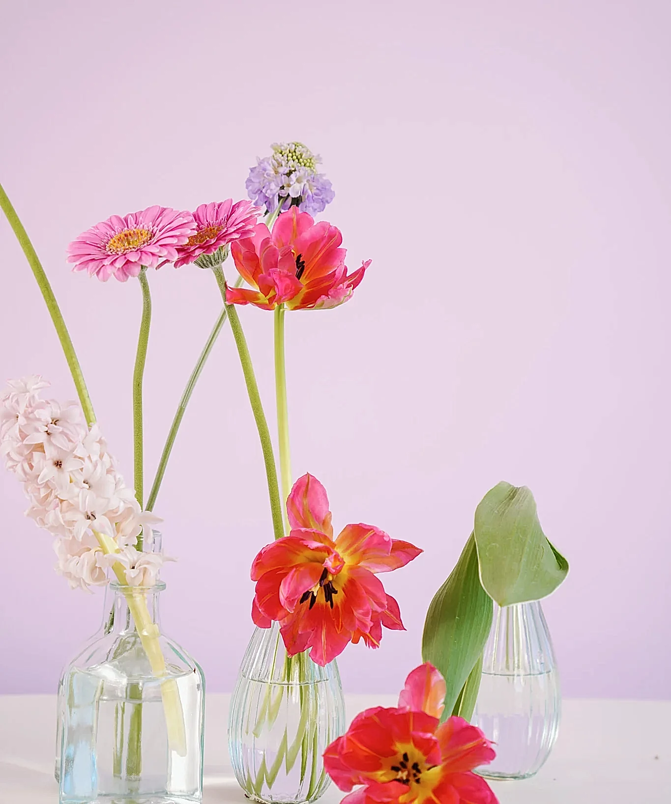 Bright Pink Tulips in Bud Vases by Poppy Rose Brisbane