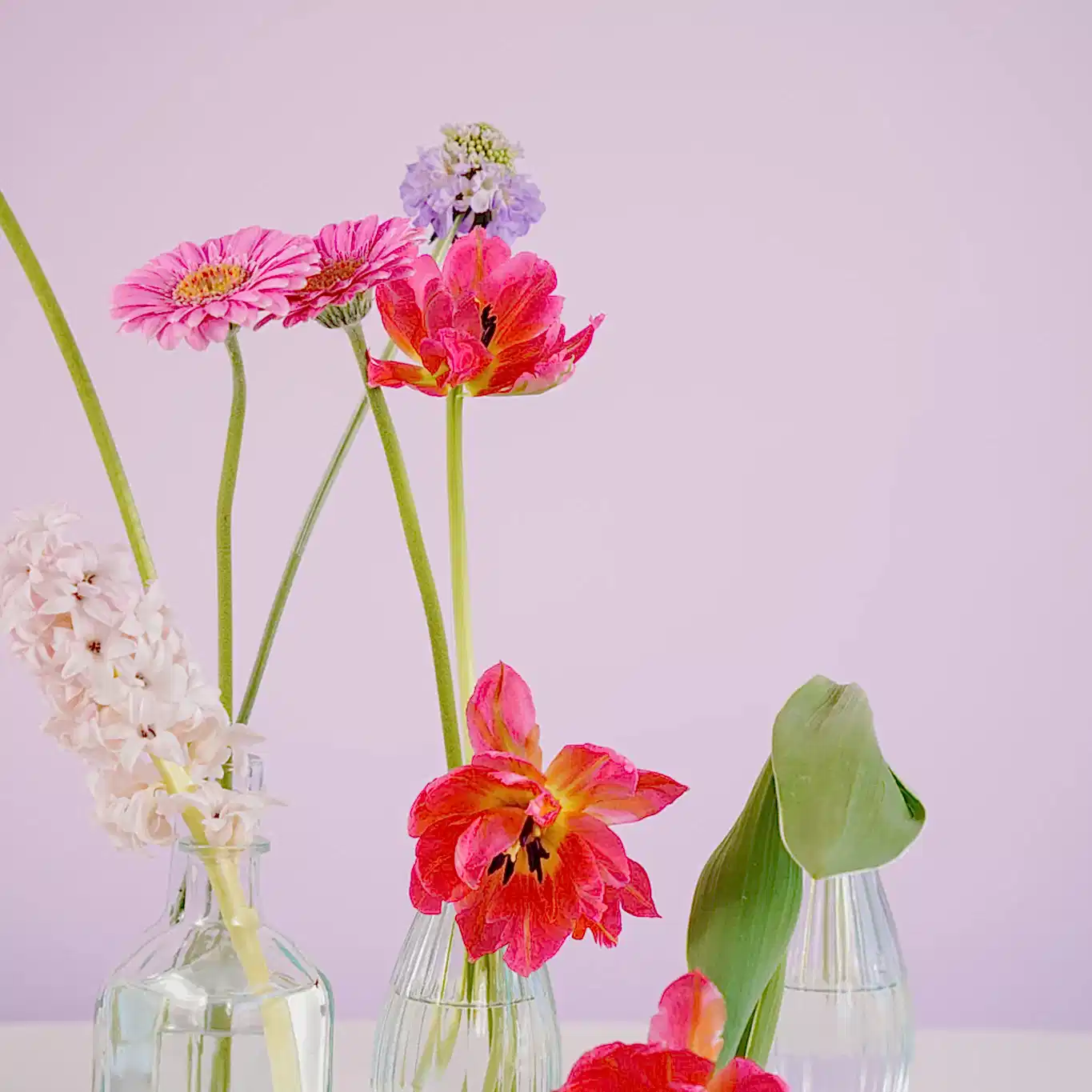 Bright Pink Tulips in Bud Vases by Poppy Rose Brisbane