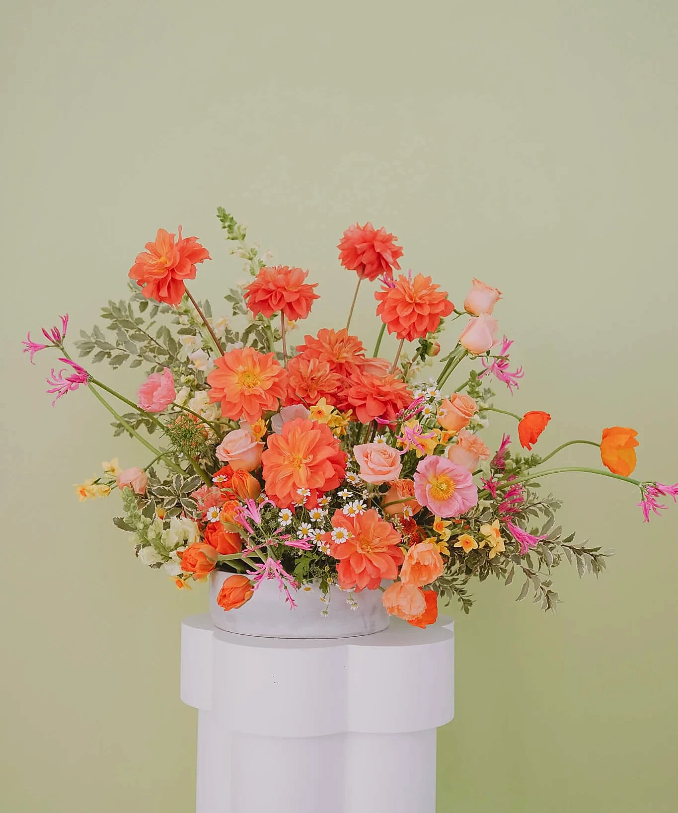 Large and Bright Event Flowers by poppy Rose Brisbane