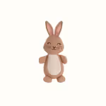 Peter Knitted Bunny - Poppy Rose - Poppy Rose Flowers Brisbane